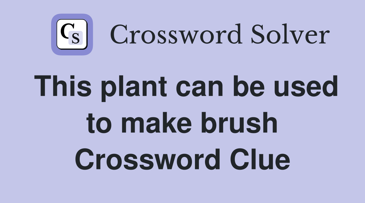 This plant can be used to make brush Crossword Clue