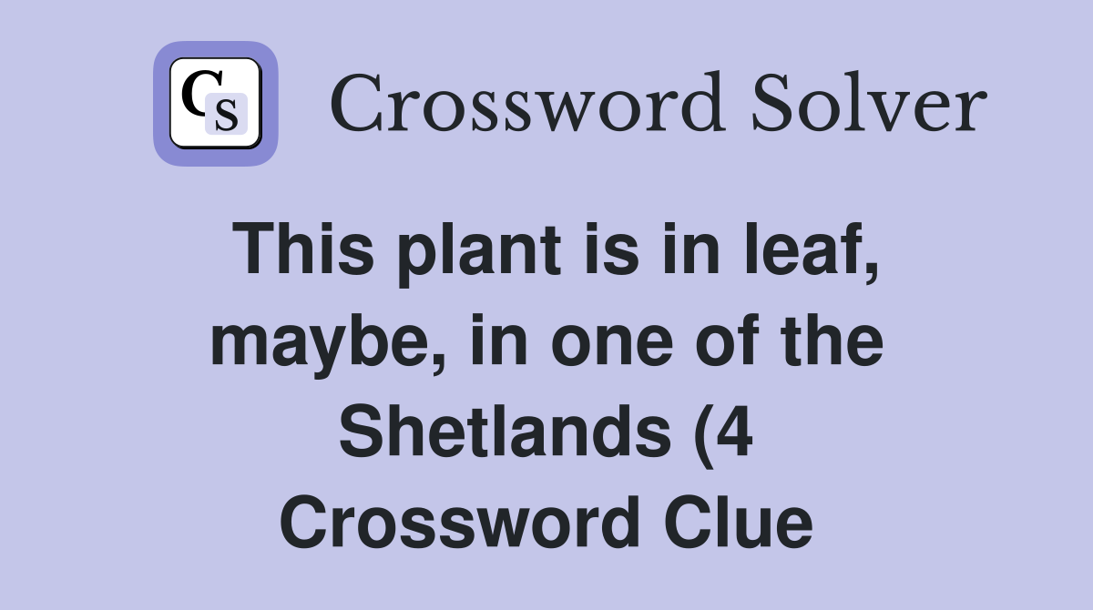 This plant is in leaf maybe in one of the Shetlands (4) Crossword This plant is in leaf maybe in one of the Shetlands (4) Crossword