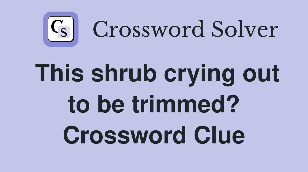 This shrub crying out to be trimmed? Crossword Clue
