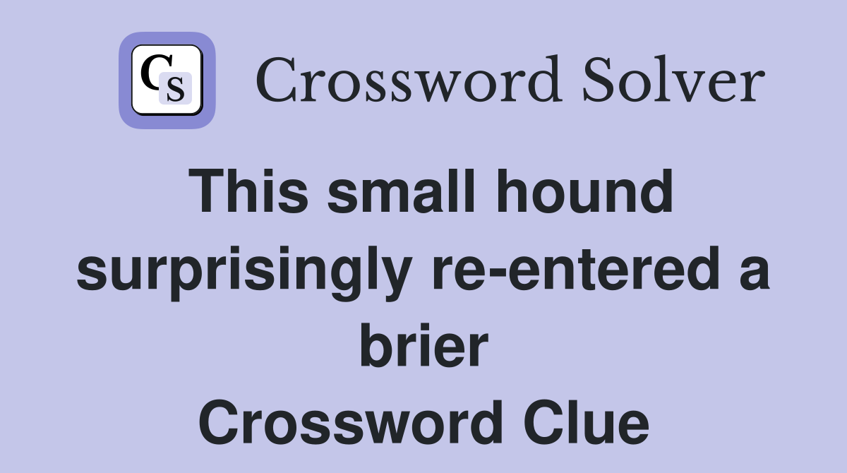 This small hound surprisingly re-entered a brier Crossword Clue