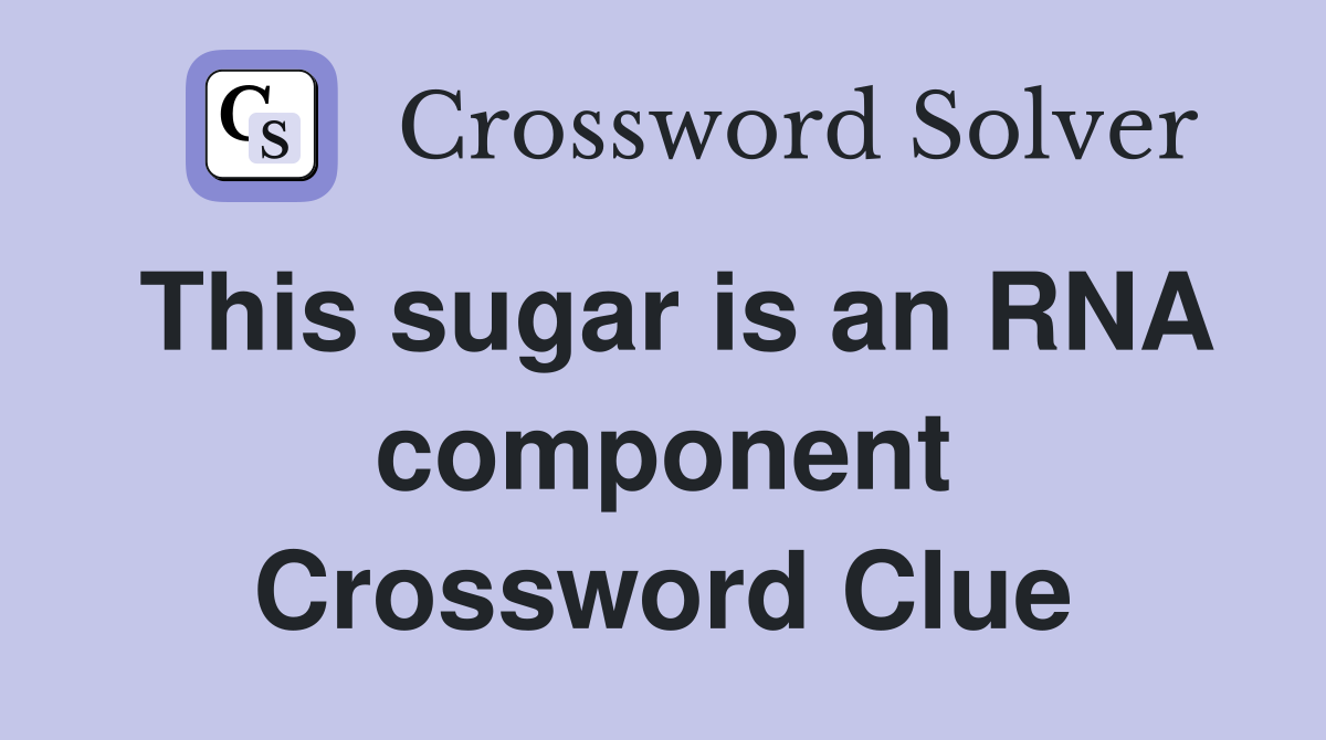 This sugar is an RNA component Crossword Clue