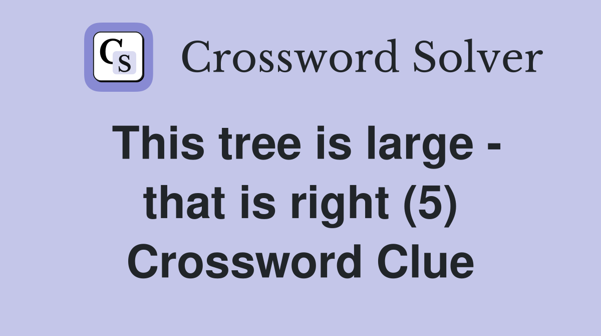 This tree is large - that is right (5) Crossword Clue