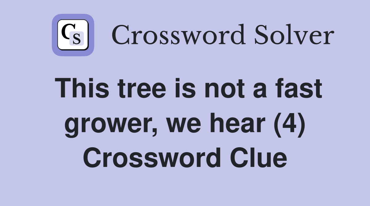 This tree is not a fast grower, we hear (4) Crossword Clue