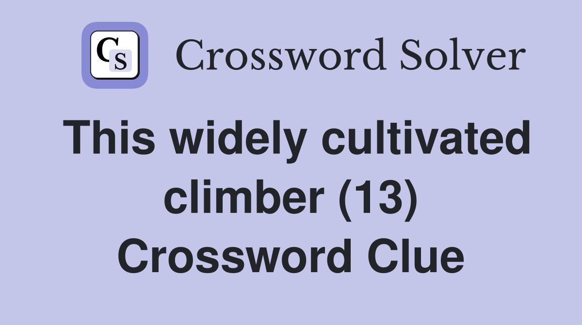 This widely cultivated climber (13) Crossword Clue