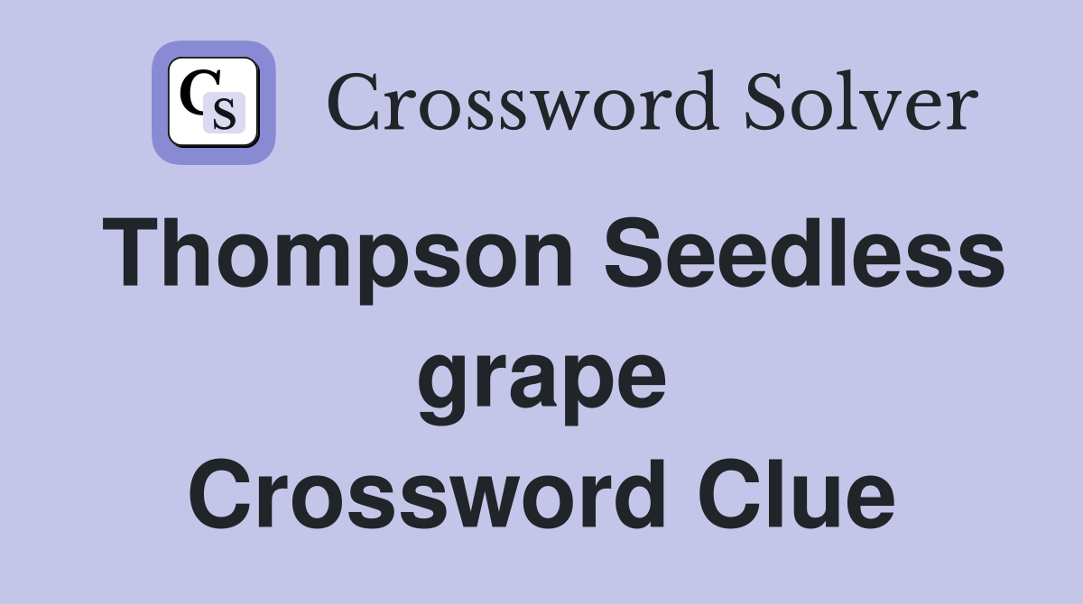 Thompson Seedless grape Crossword Clue