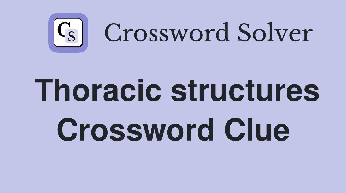 Thoracic structures Crossword Clue