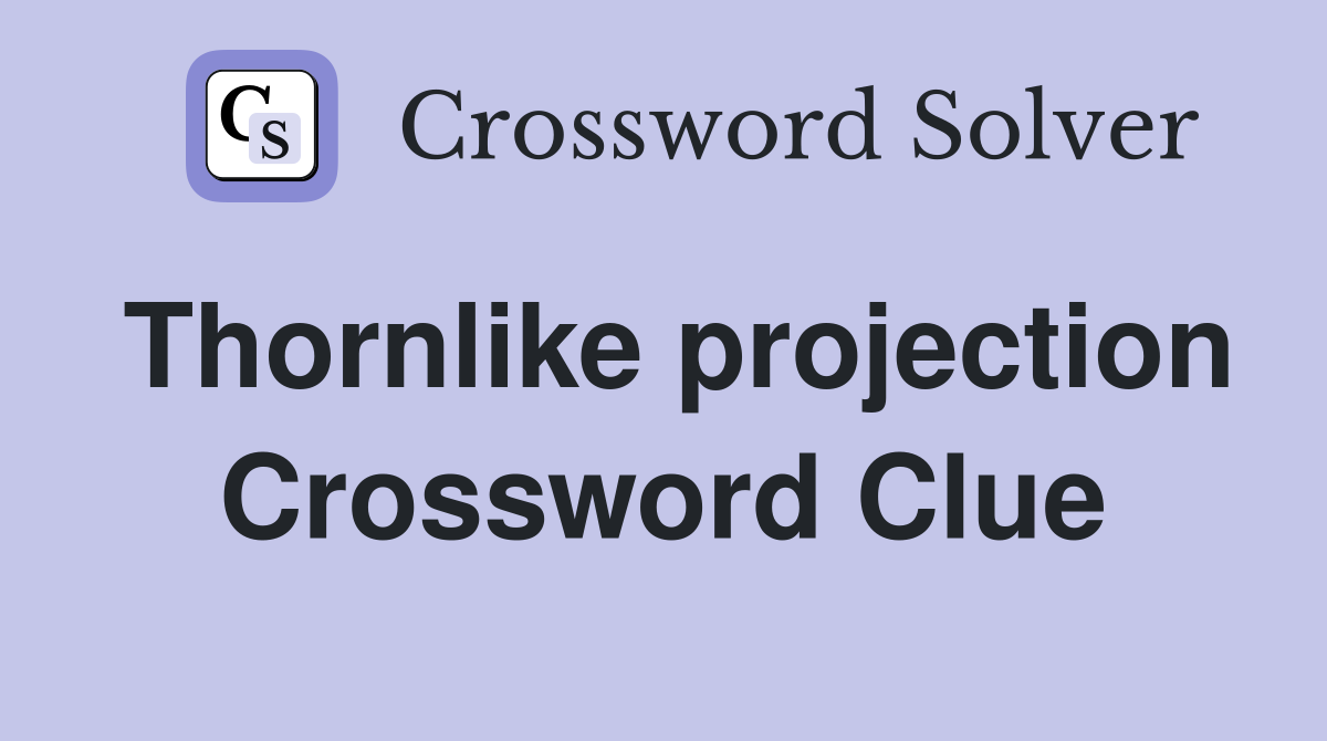Thornlike projection Crossword Clue
