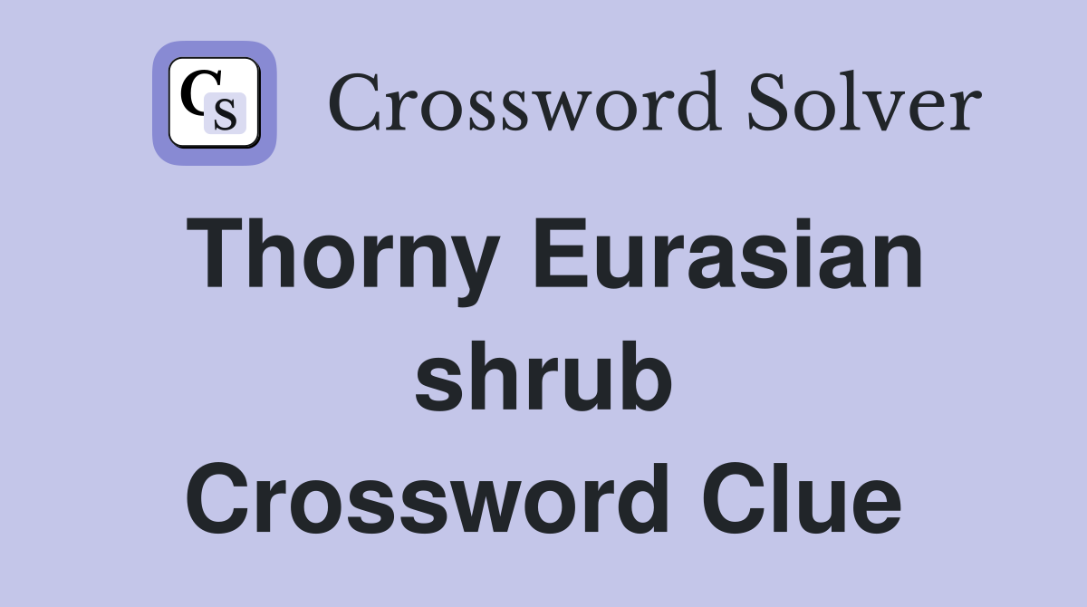 Thorny Eurasian shrub Crossword Clue