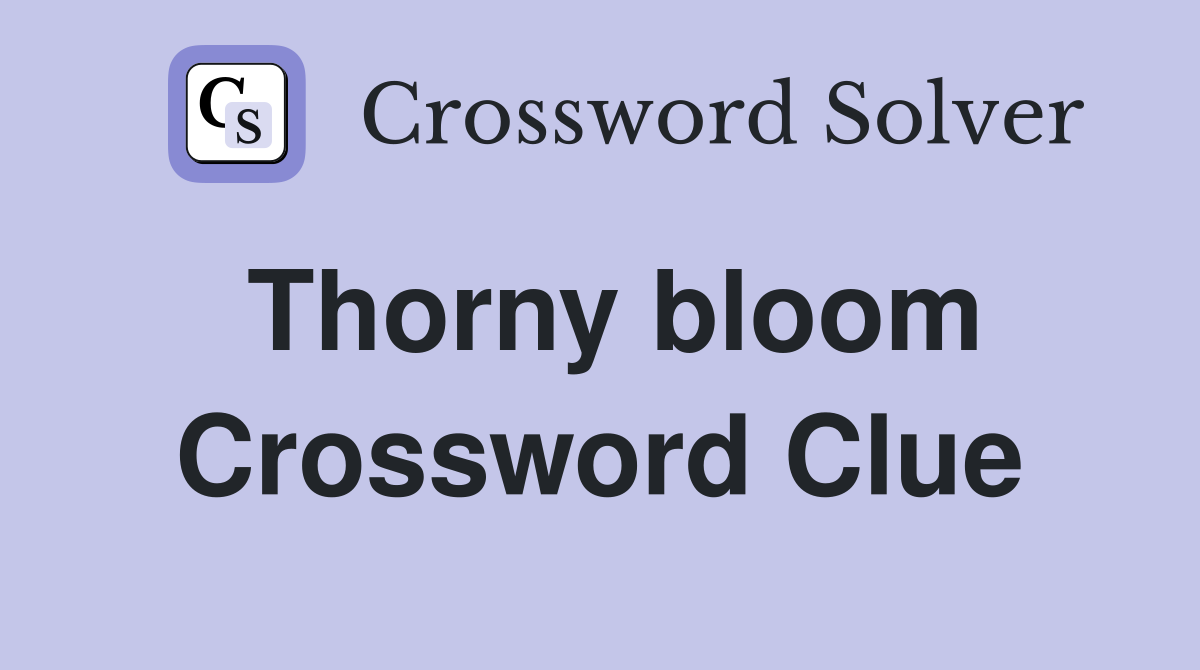 Thorny bloom Crossword Clue