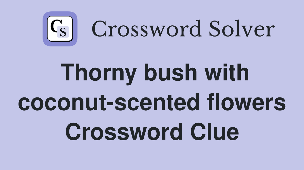 Thorny bush with coconut-scented flowers Crossword Clue