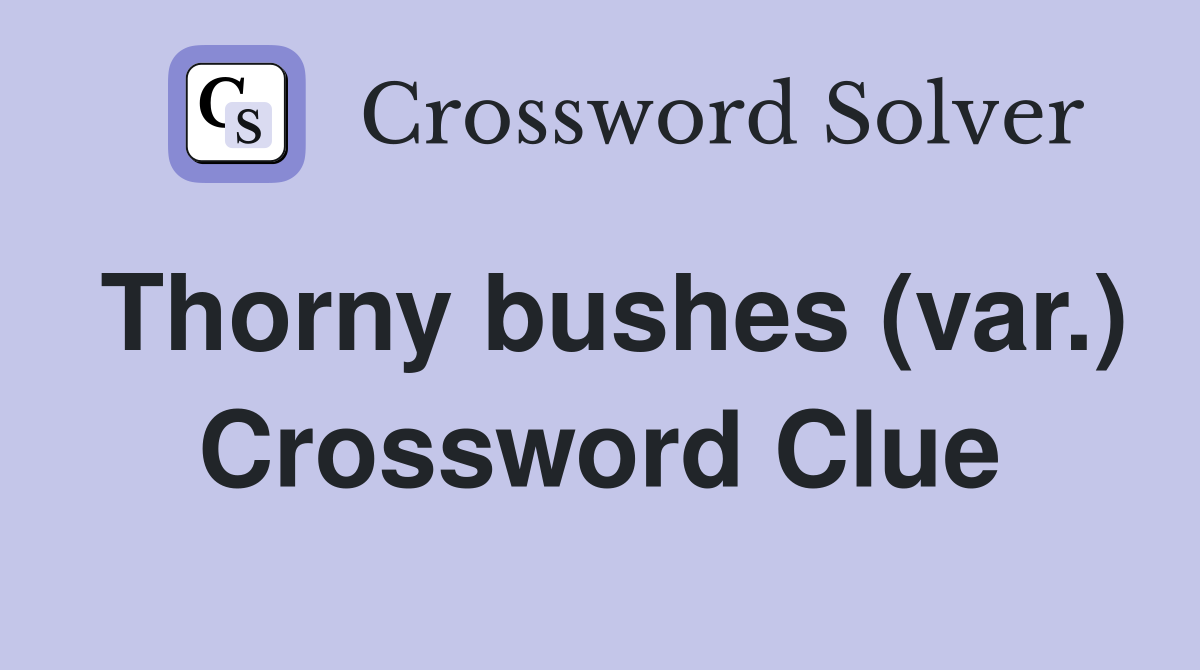 Thorny bushes (var.) Crossword Clue