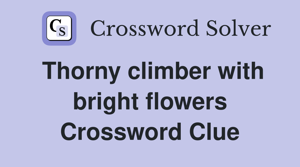 Thorny climber with bright flowers Crossword Clue