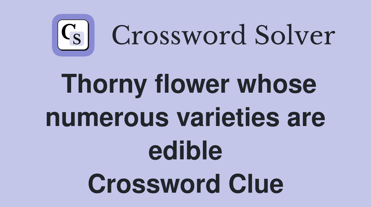 Thorny flower whose numerous varieties are edible Crossword Clue