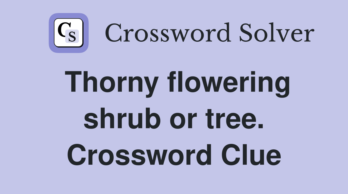 Thorny flowering shrub or tree. Crossword Clue