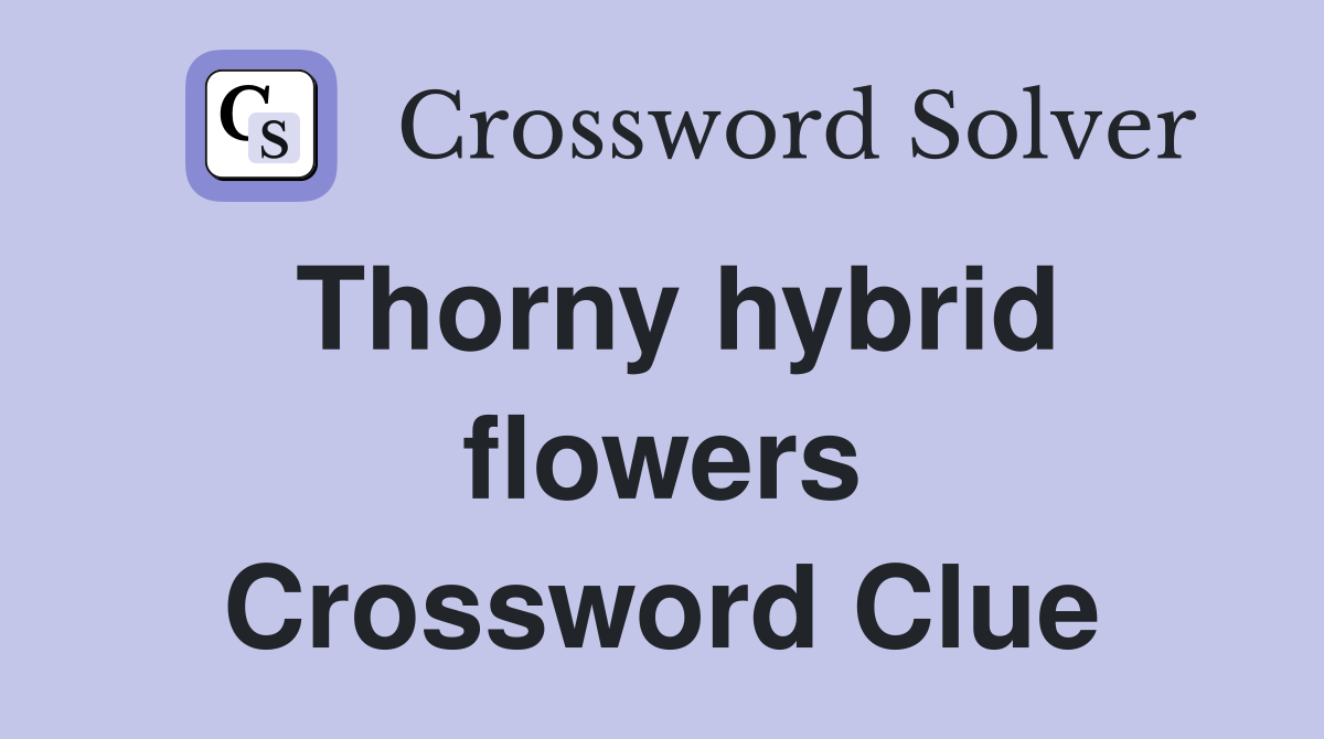Thorny hybrid flowers Crossword Clue