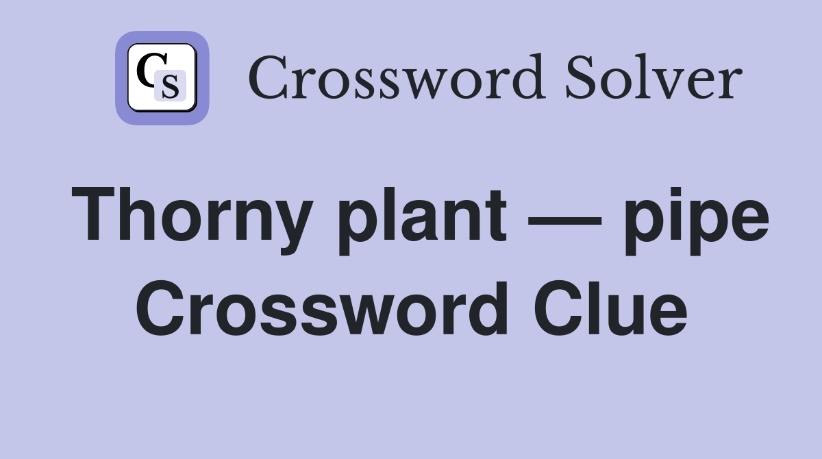 Thorny plant — pipe Crossword Clue