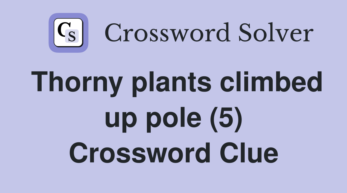 Thorny plants climbed up pole (5) Crossword Clue