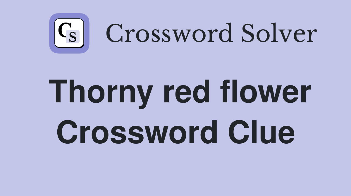 Thorny red flower Crossword Clue
