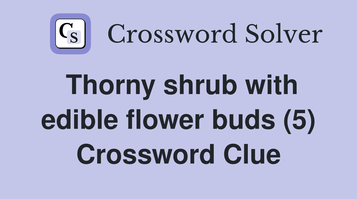 Thorny shrub with edible flower buds (5) Crossword Clue