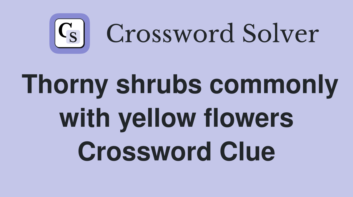 Thorny shrubs commonly with yellow flowers Crossword Clue