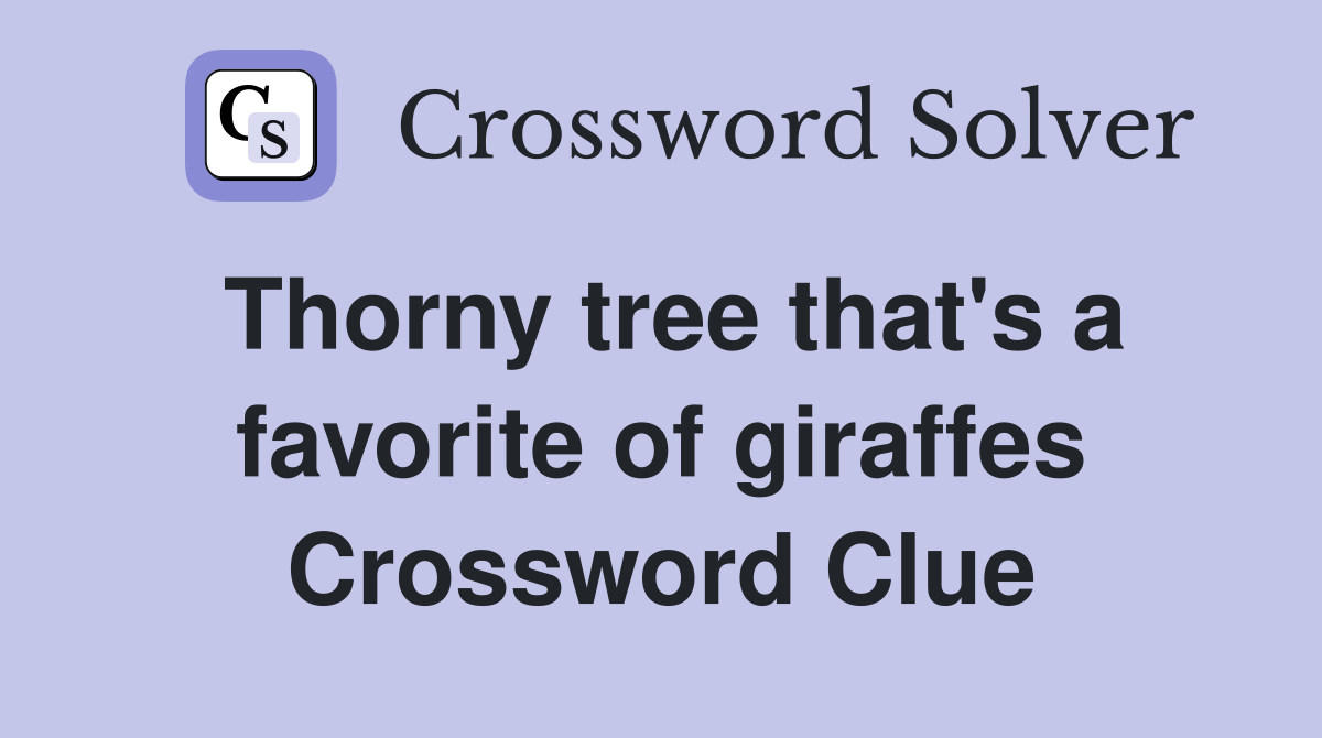 Thorny tree that's a favorite of giraffes Crossword Clue