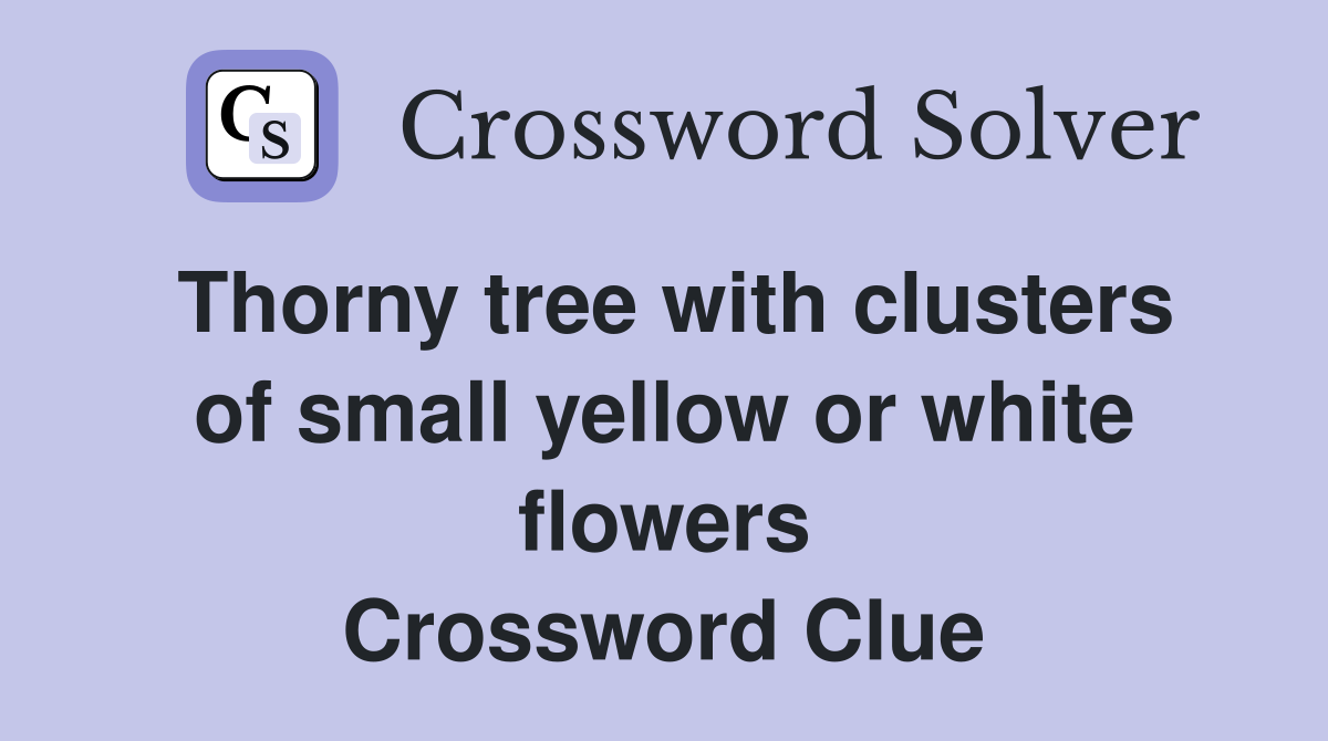 Thorny tree with clusters of small yellow or white flowers Crossword Clue