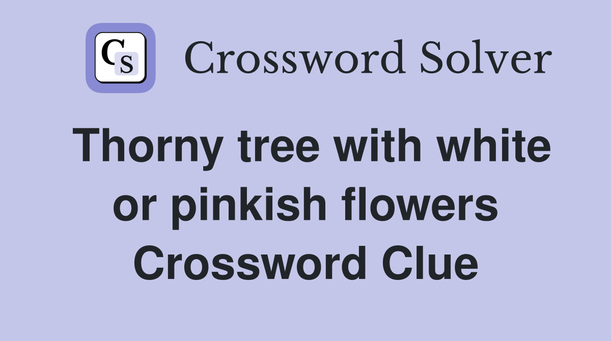 Thorny tree with white or pinkish flowers Crossword Clue