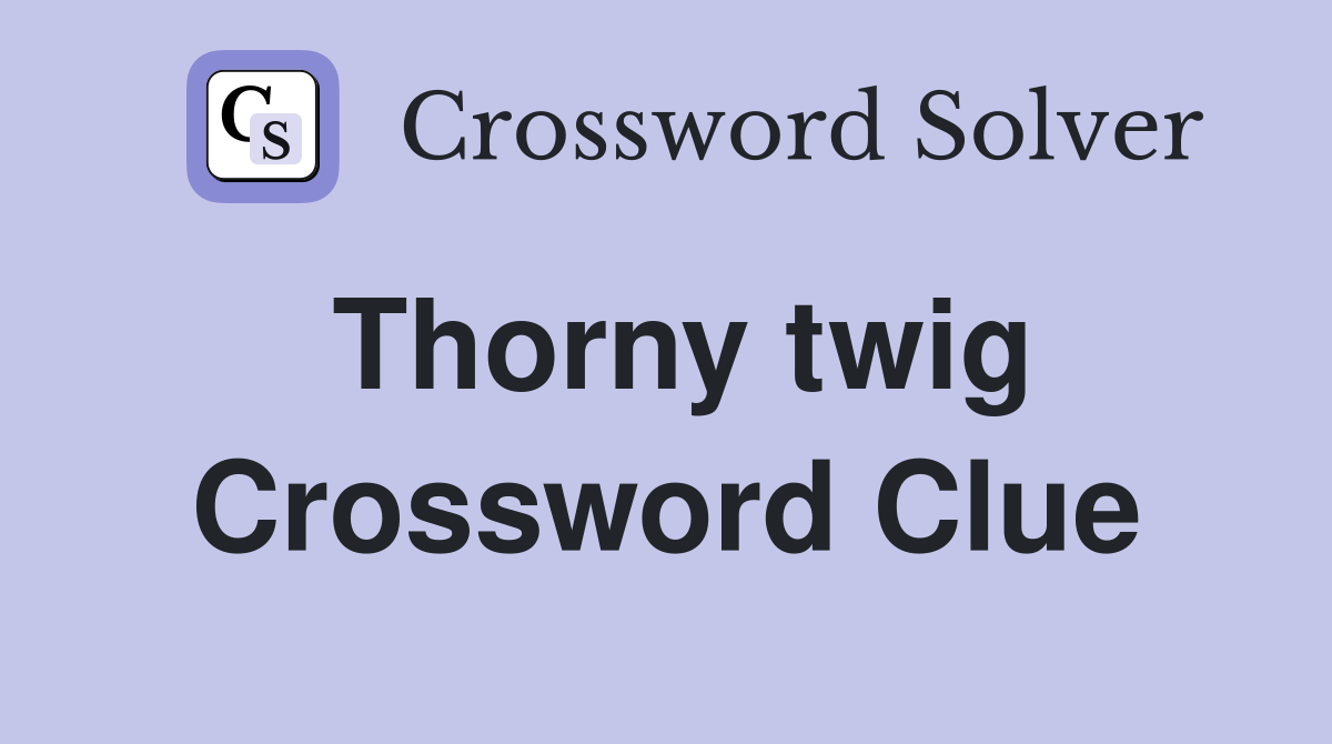 Thorny twig Crossword Clue