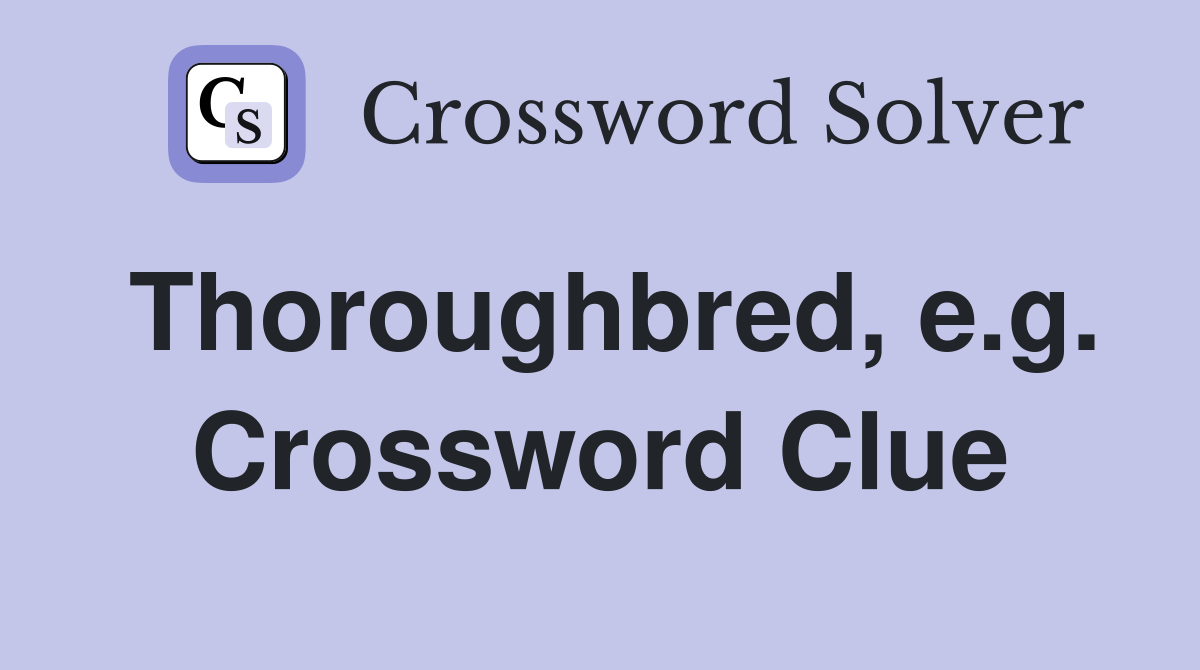 Thoroughbred, e.g. Crossword Clue