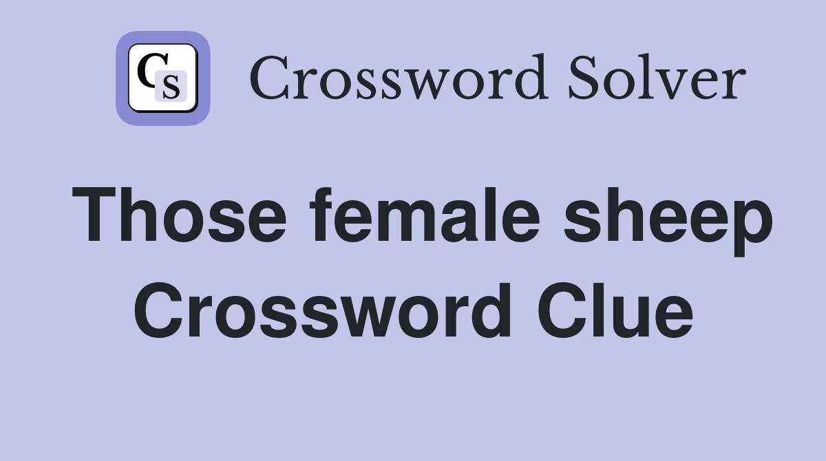 Those female sheep Crossword Clue
