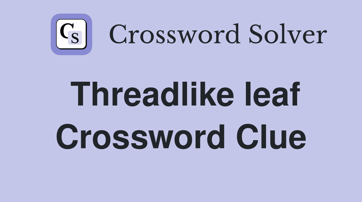Threadlike leaf Crossword Clue