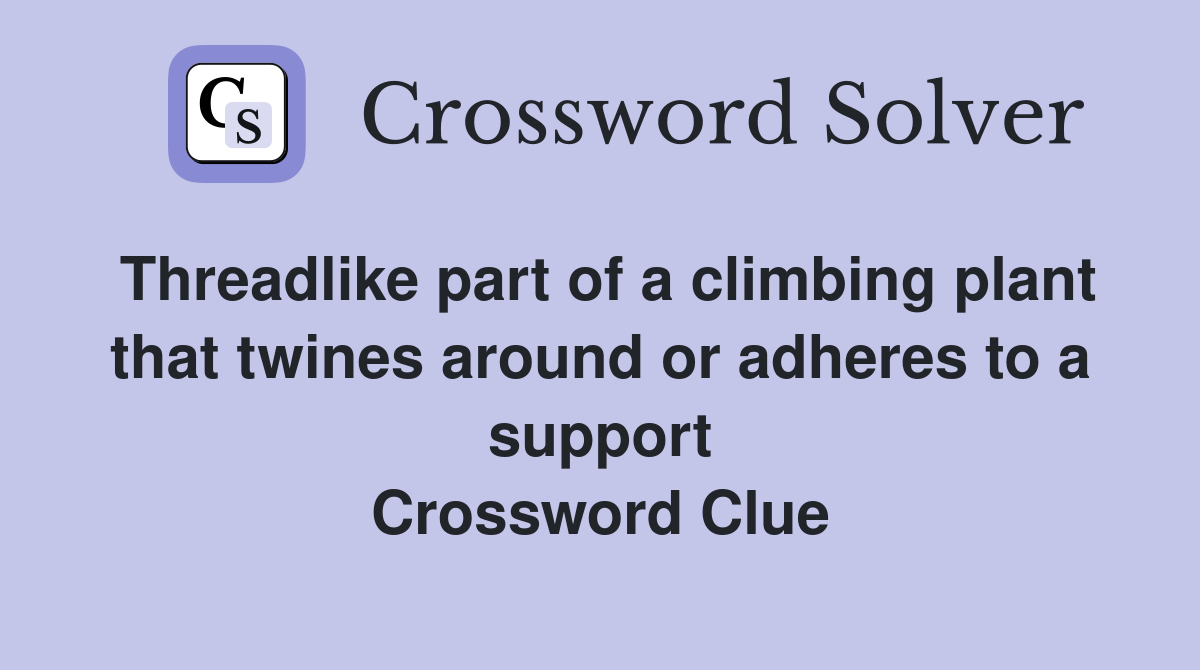 Threadlike part of a climbing plant that twines around or adheres to a support Crossword Clue