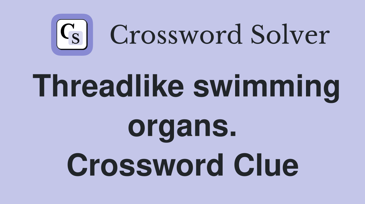 Threadlike swimming organs. Crossword Clue
