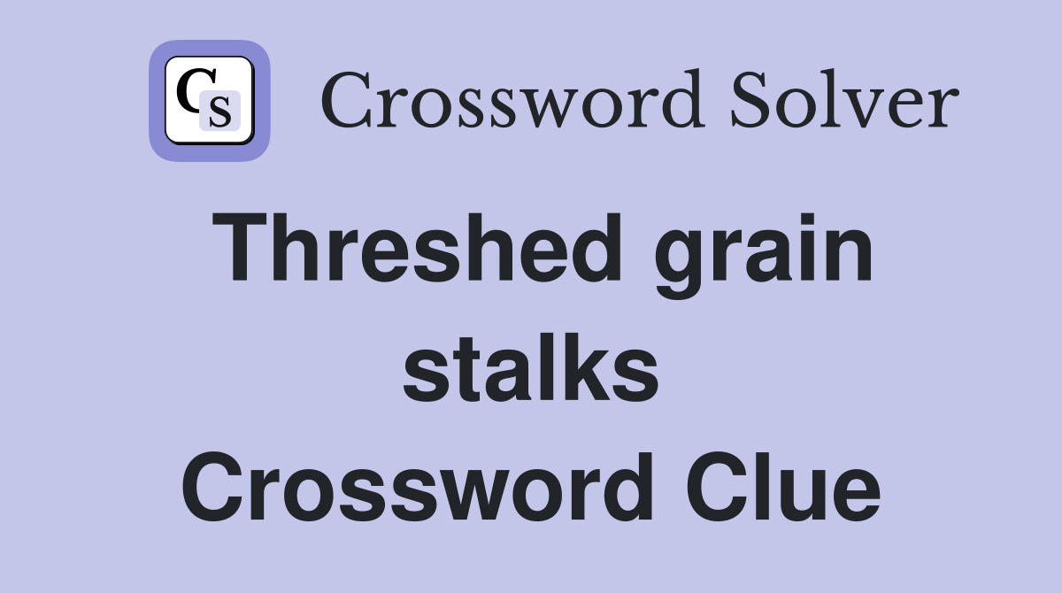 Threshed grain stalks Crossword Clue