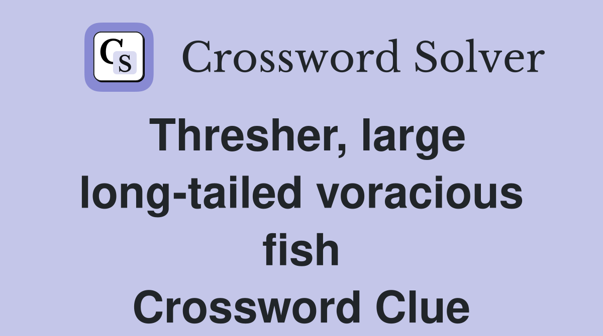 Thresher, large long-tailed voracious fish Crossword Clue