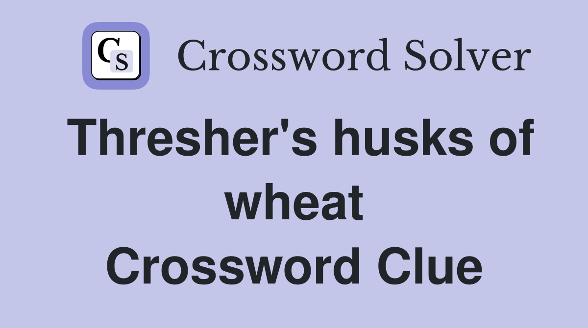 Thresher's husks of wheat Crossword Clue