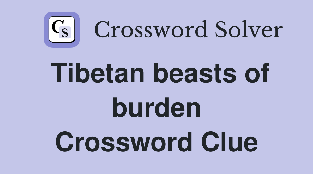 Tibetan beasts of burden Crossword Clue