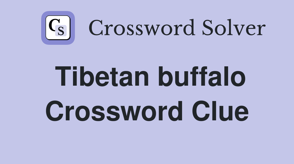 Tibetan buffalo Crossword Clue