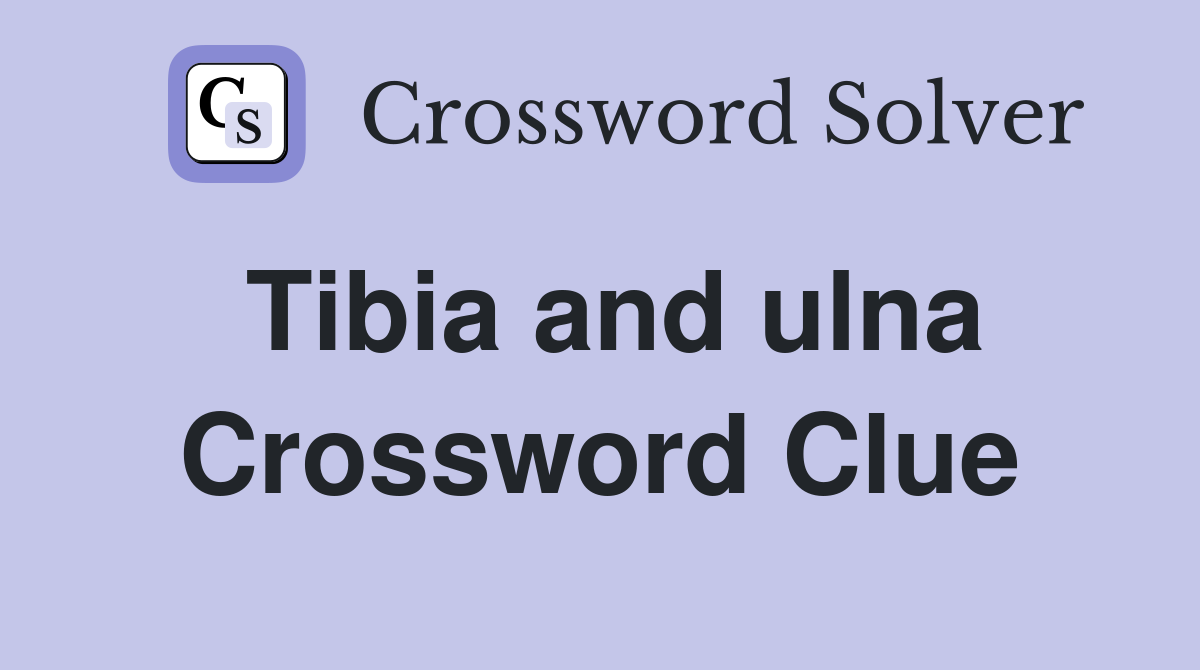 Tibia and ulna Crossword Clue