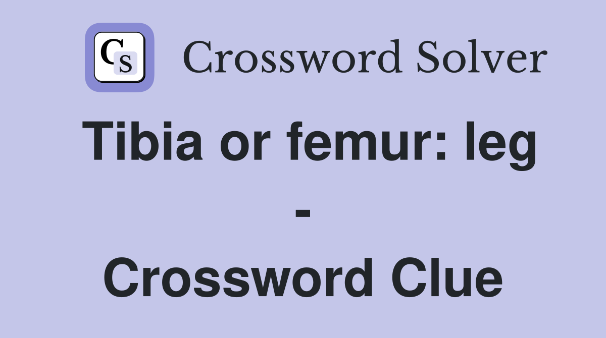 Tibia or femur: leg - Crossword Clue