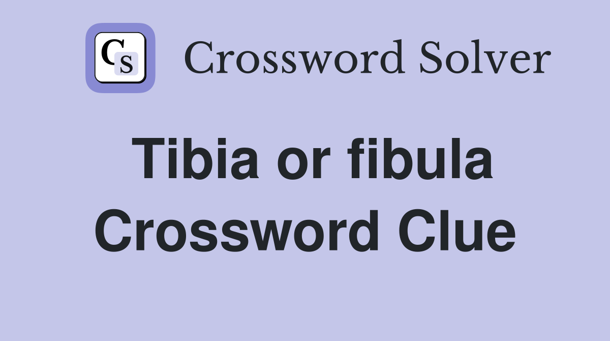 Tibia or fibula Crossword Clue