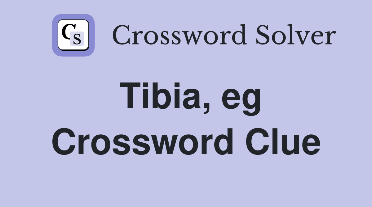 Tibia, eg Crossword Clue