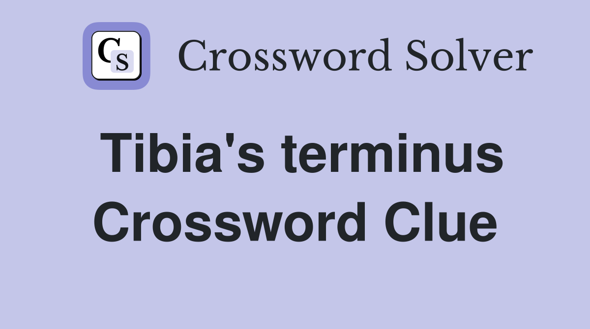 Tibia's terminus Crossword Clue