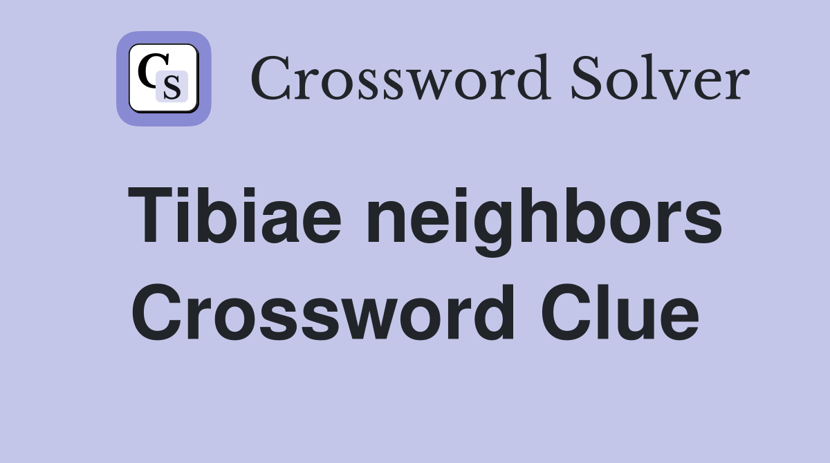 Tibiae neighbors Crossword Clue