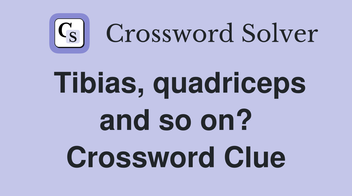 Tibias, quadriceps and so on? Crossword Clue