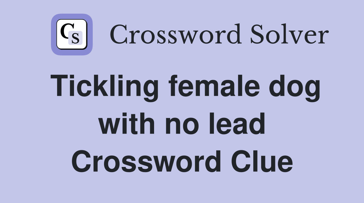 Tickling female dog with no lead Crossword Clue