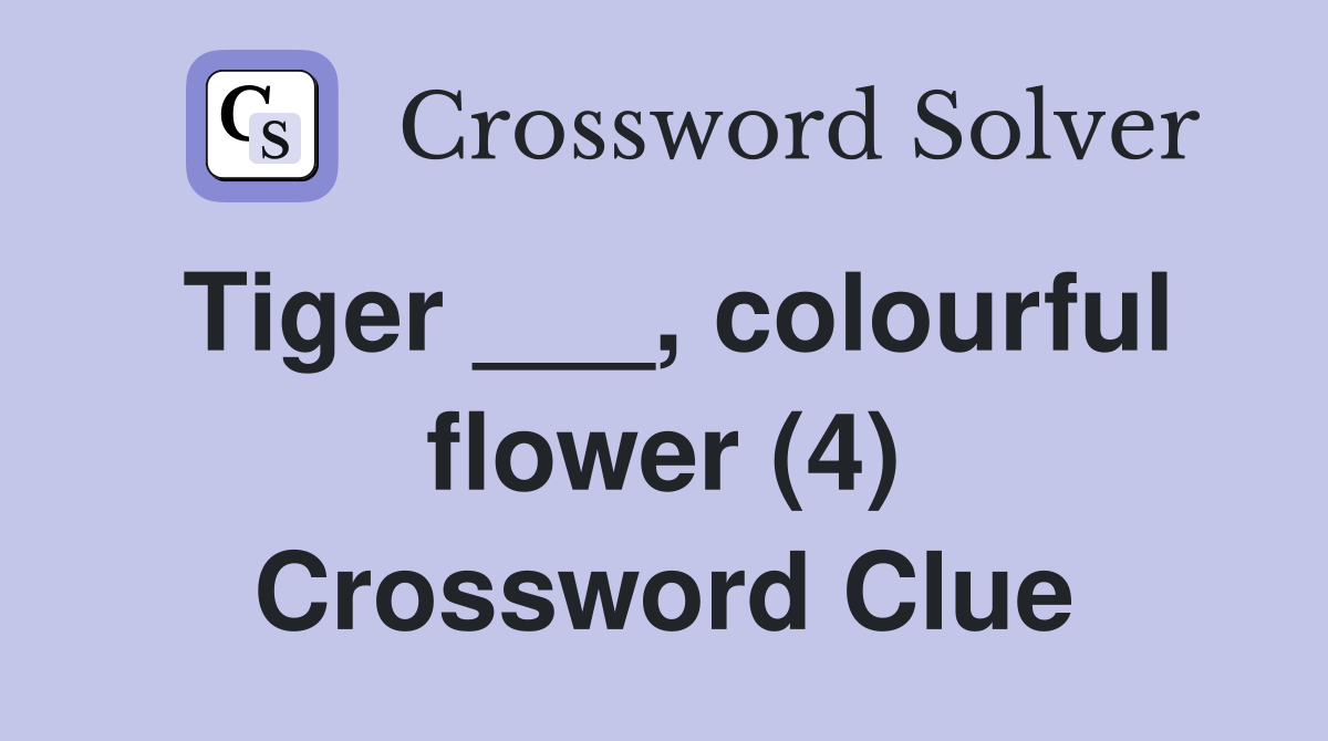 Tiger ___, colourful flower (4) Crossword Clue