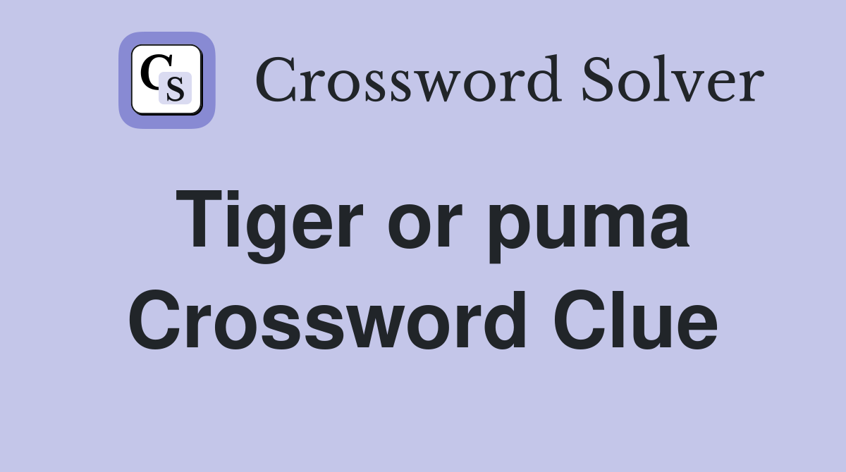 Tiger or puma Crossword Clue