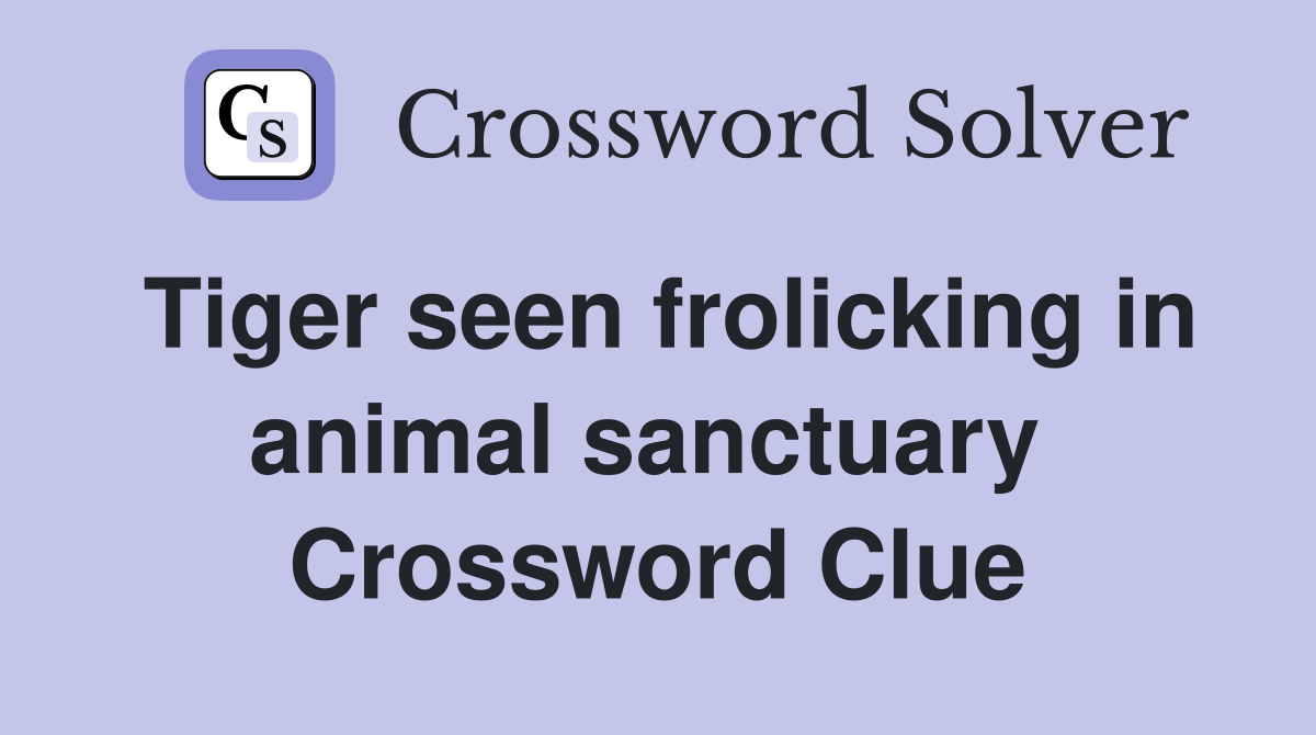 Tiger seen frolicking in animal sanctuary  Crossword Clue