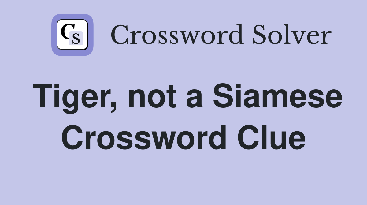 Tiger, not a Siamese Crossword Clue